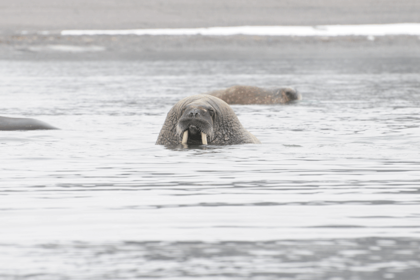 Svalbard Norway travel