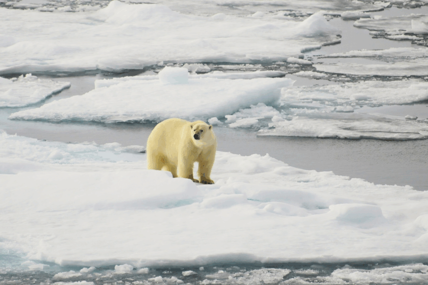 Svalbard Norway travel
