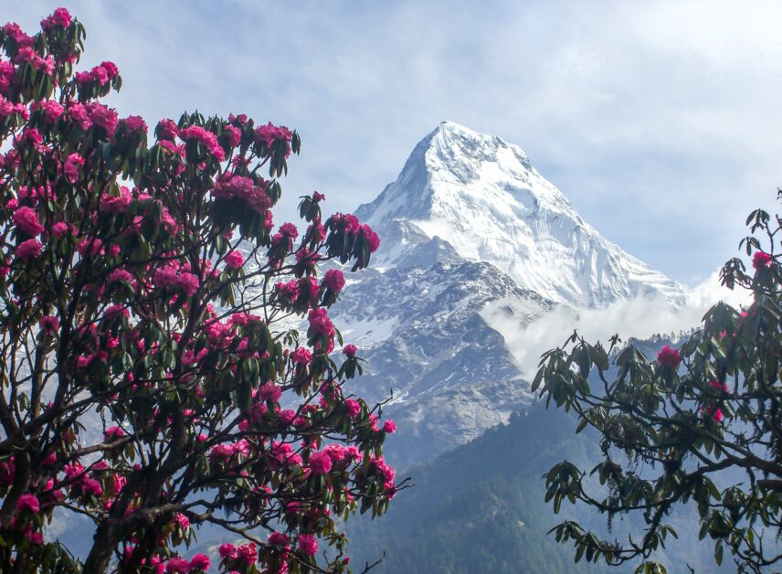 Annapurna Vistas Trek