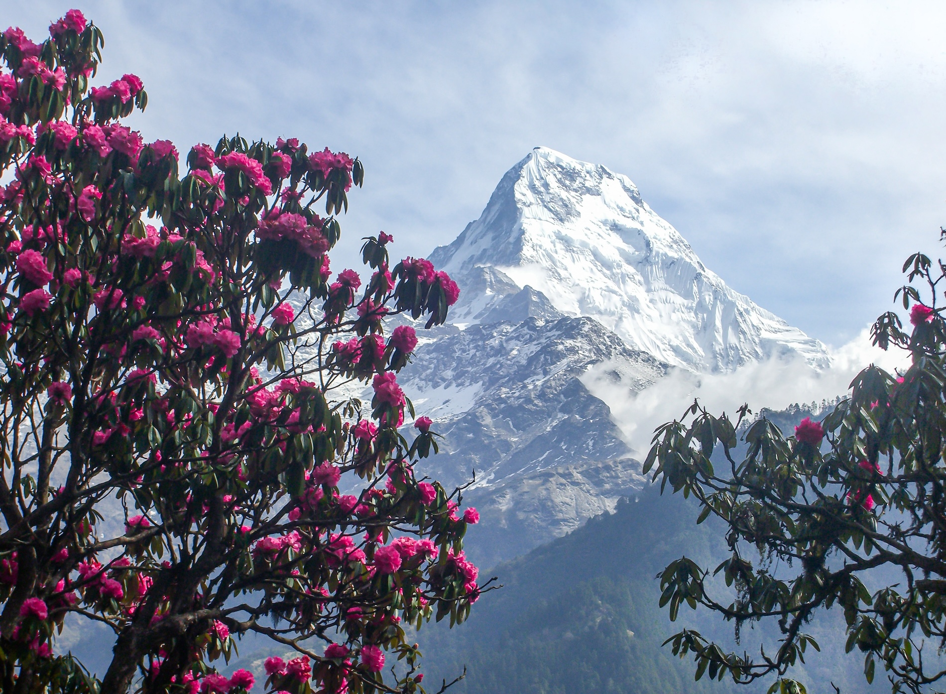 Annapurna Vistas Trek