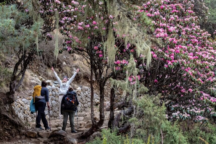 Annapurna Vistas Trek