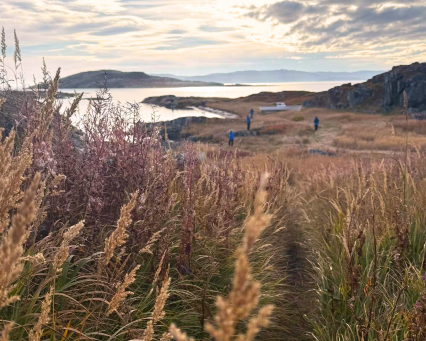 Greenland and Arctic small-ship expedition