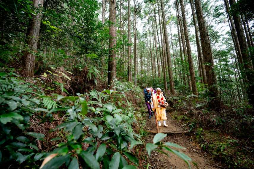 Japan Kumano Kodo Hiking Adventure
