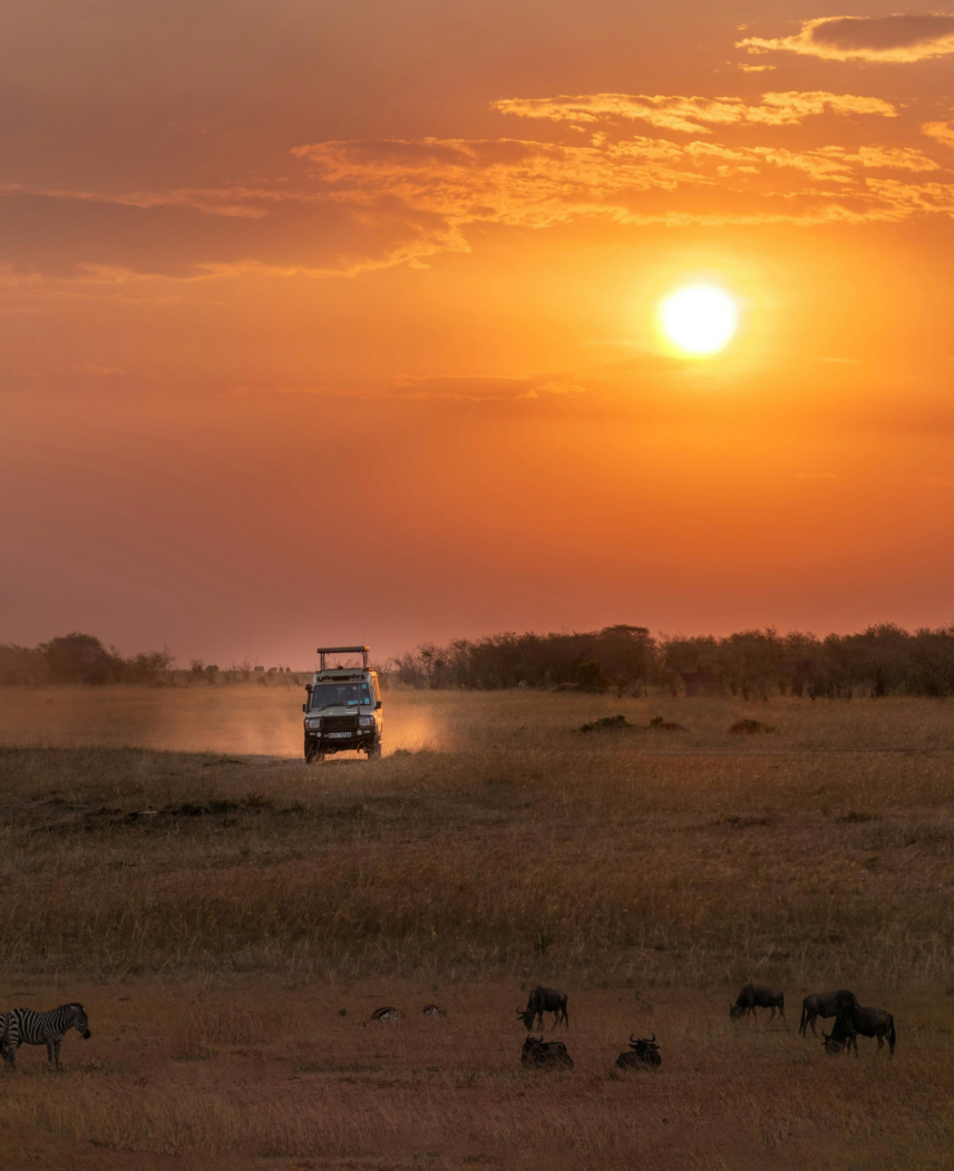 Kenya and Rwanda Safari