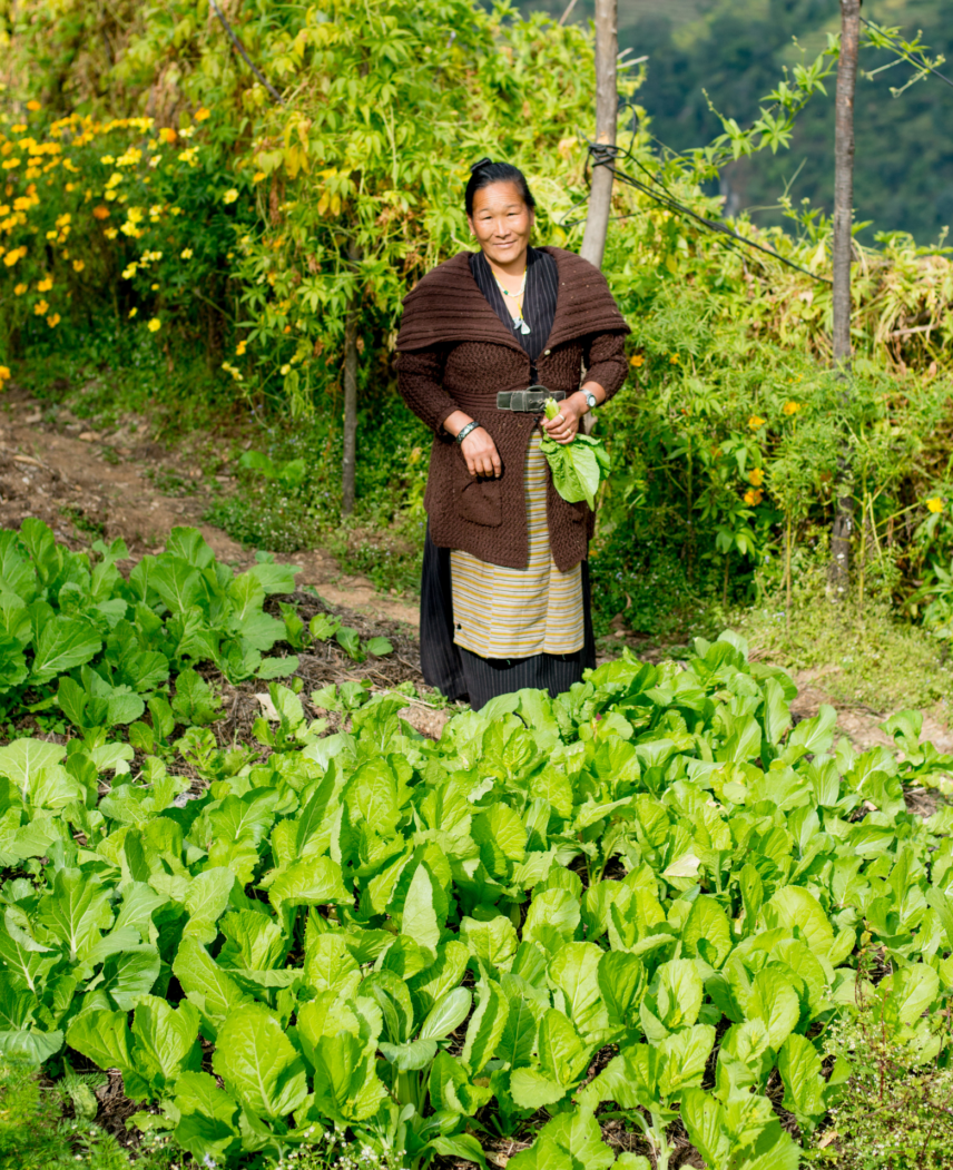 Annapurna Vistas Trek