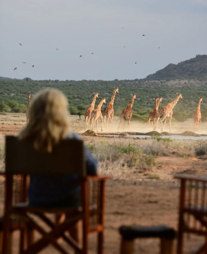 Kenya and Rwanda Safari