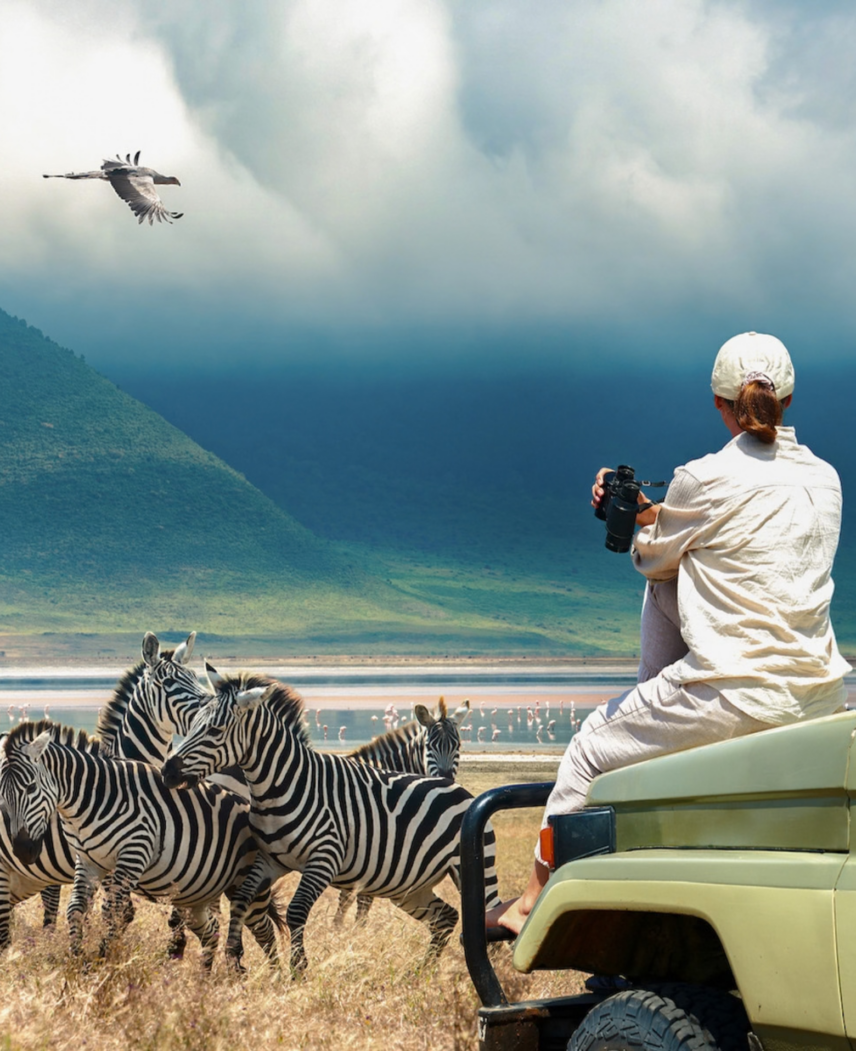Tanzania Safari Adventure