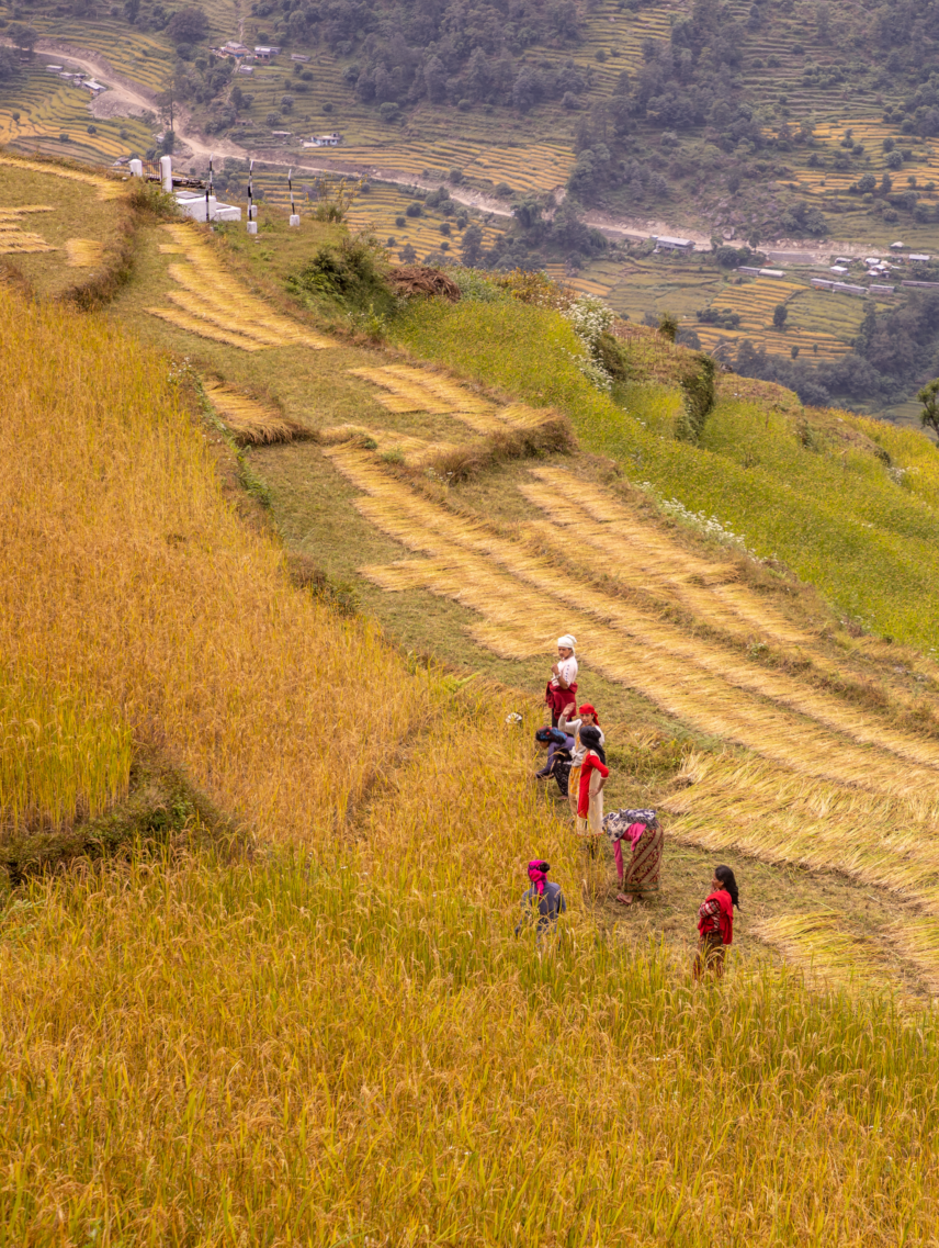 Annapurna Vistas Trek