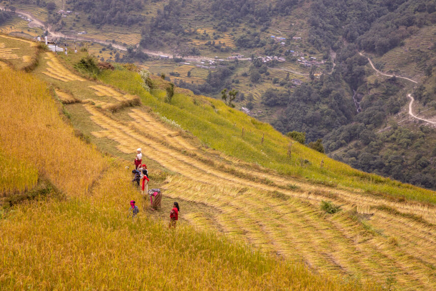 Annapurna Vistas Trek
