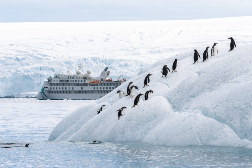 Women's Antarctica expedition