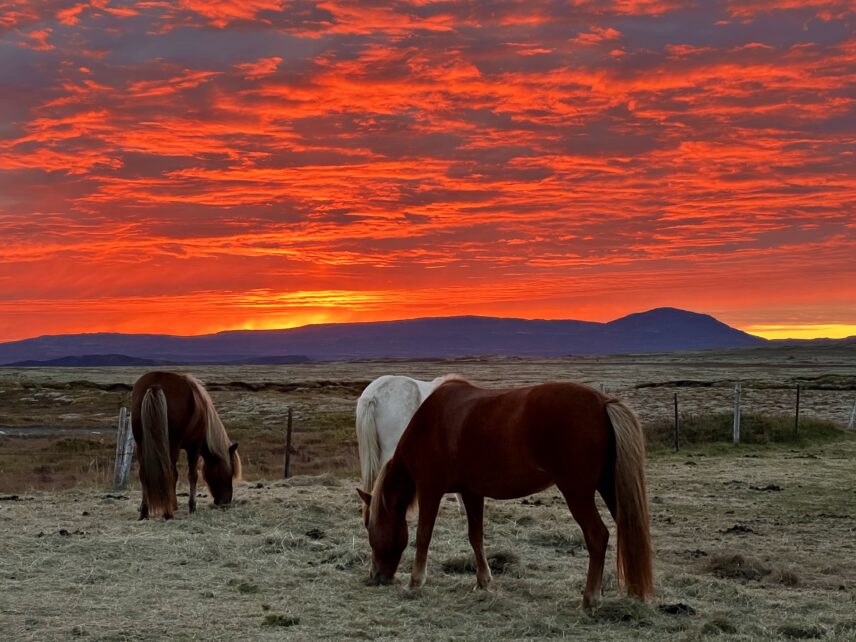 Women’s horseback riding adventure