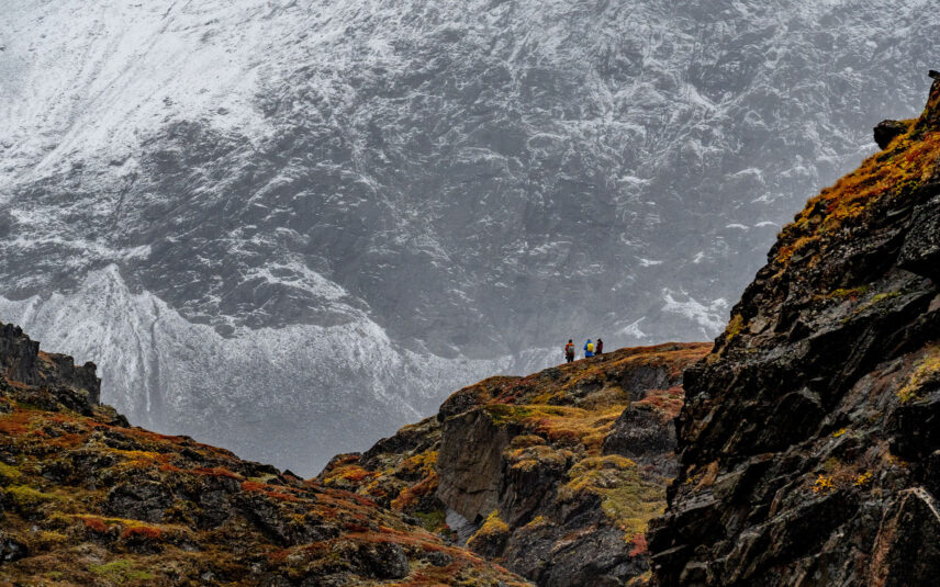 Arctic small ship expeditions