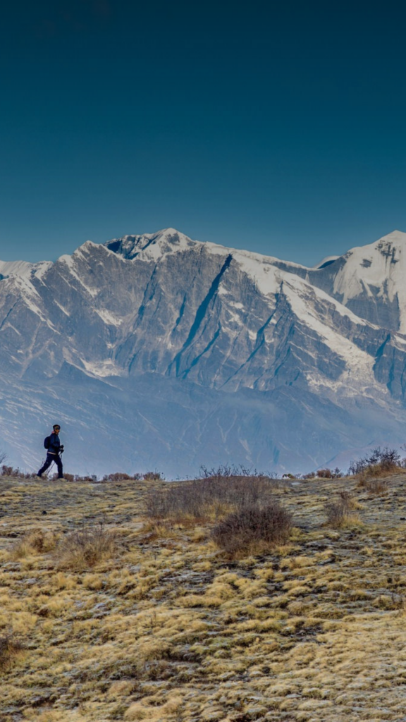 Your Next Hiking Adventure: Insider Look at Our Top Trips