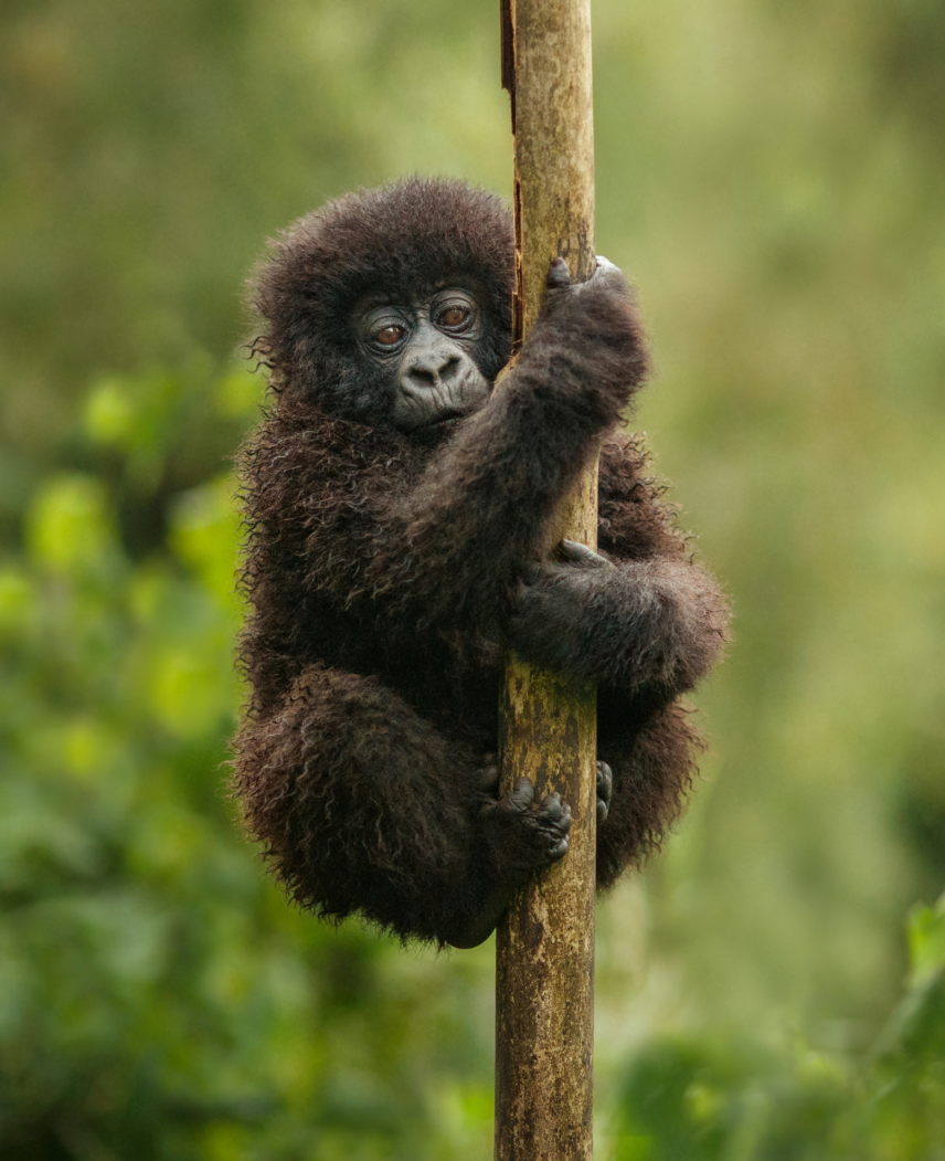 2027 Adventure Travel