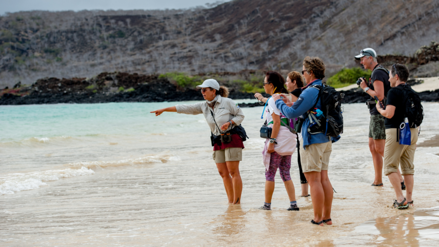 Wild Women Expeditions