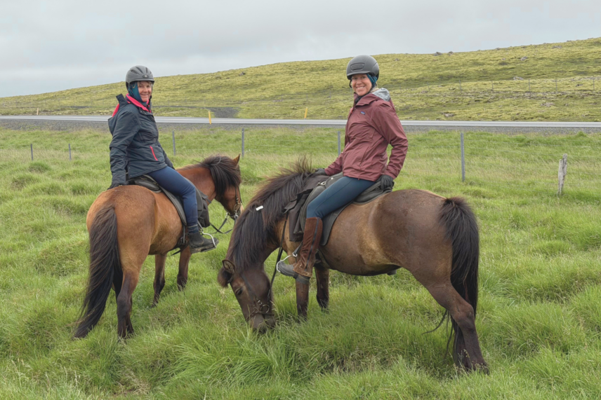 Iceland Horseback Riding