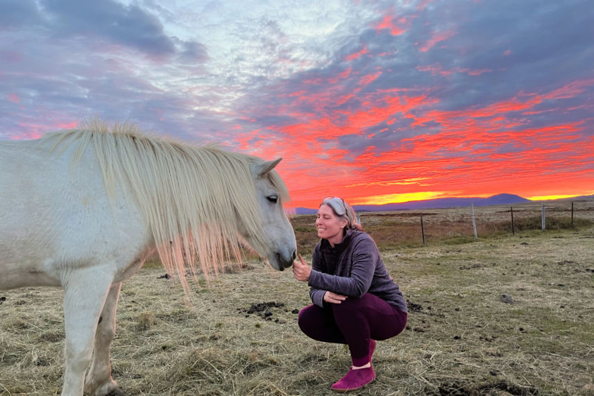 Iceland Horseback Riding