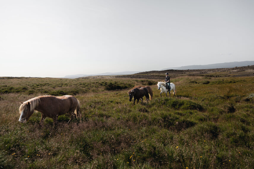 Iceland Horseback Adventure