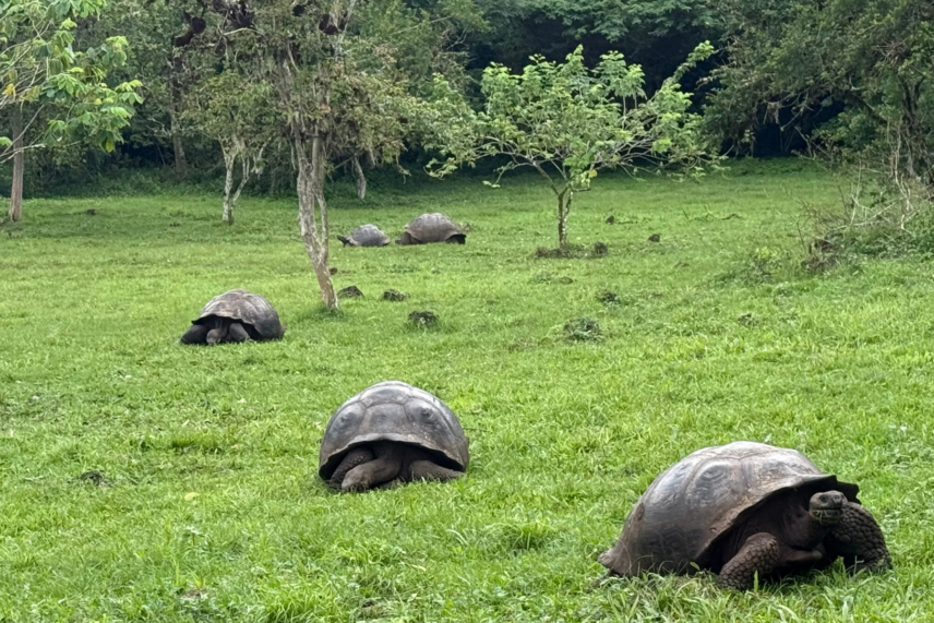 Galapagos Yacht Adventure-Charles Darwin Research Station