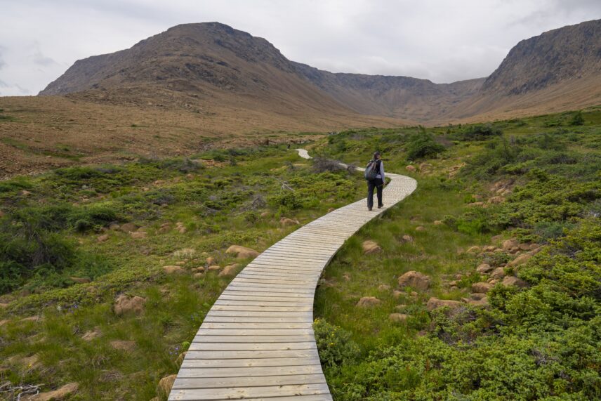 [Tablelands / fjord] in Gros Morne National Park, a UNESCO World Heritage Site